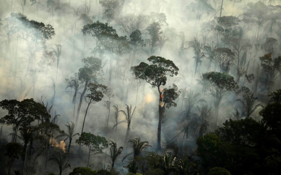 Amazon reeling as Brazil’s deforestation breaks all former records