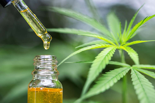 Basics of CBD Oil – What is CBD: Everything You Need to Know?