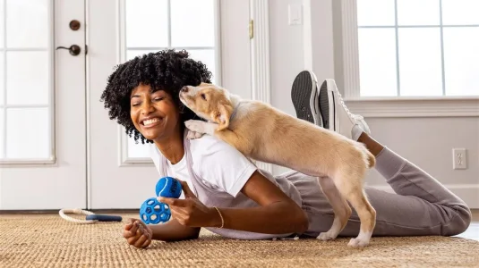 Smart Ways to Bond with Your Pet