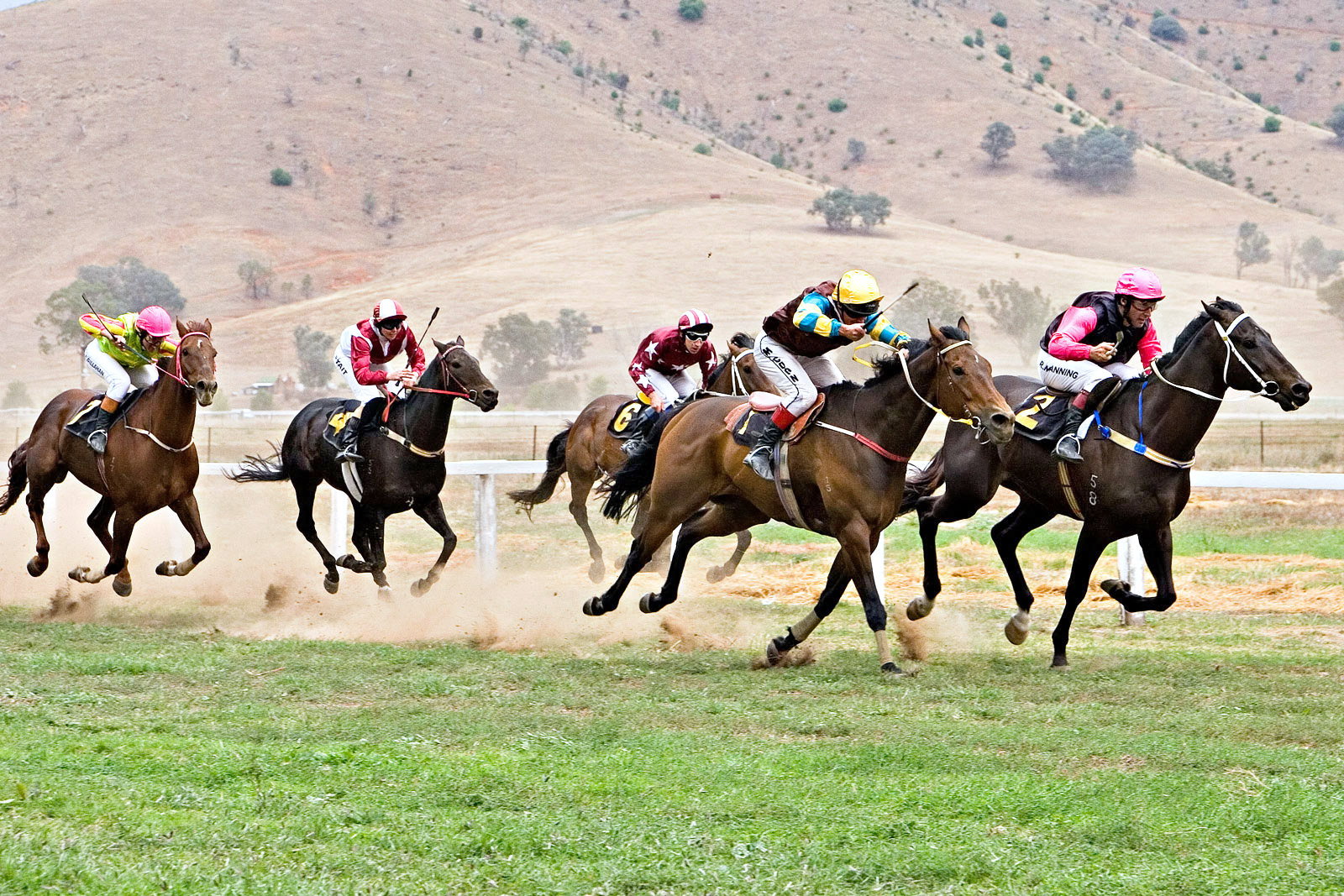 The Tradition and Pageantry of Horse Racing in Australia