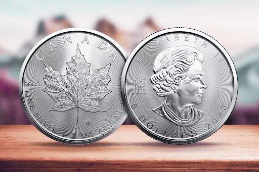 Unveiling the 10 OZ Silver Magnificent Maple Leaf