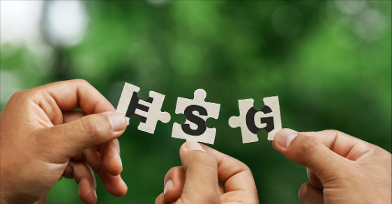 Canada Sustainability Reporting and the Push for Unified Global Standards