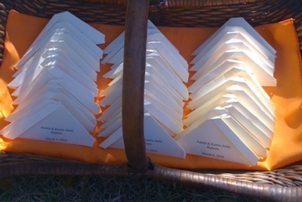 How to Plan a Serene Butterfly Release for a Memorial or Funeral