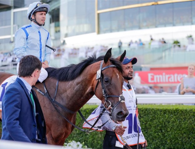 Mysore Horse Race: Track Details and Racing Insights