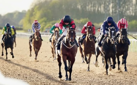 Horse Race Pune: Summer Racing at One of India’s Historic Venues