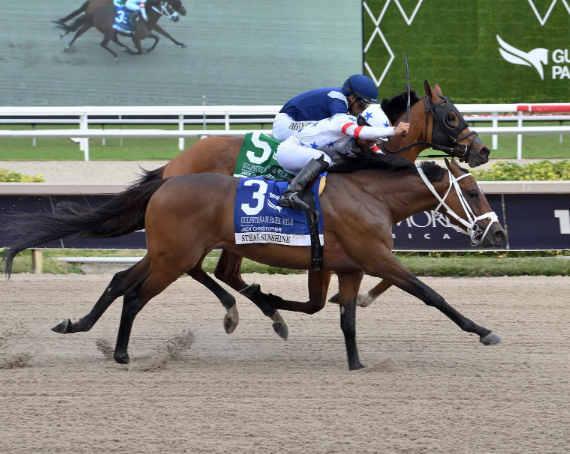 Chennai Horse Race: A Guide to One of South India’s Most Celebrated Turf Traditions