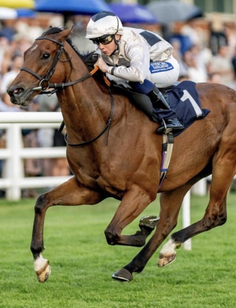 Horse Race tips