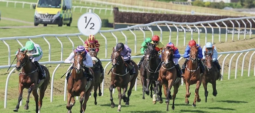 Hyderabad Race Club and Its Role in Indian Horse Racing