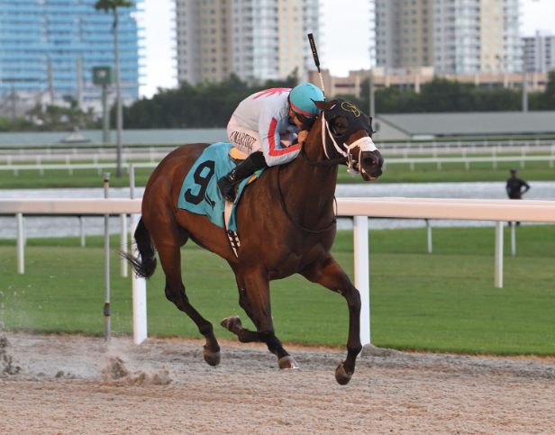 Why Poonawalla Stud Farm Is India’s Leading Thoroughbred Breeder