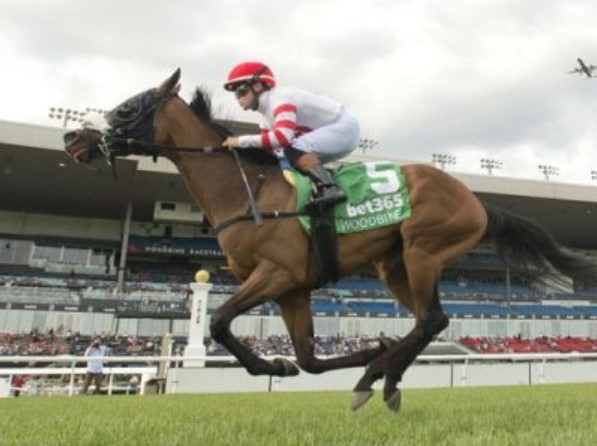 Why RWITC Pune Is One of India’s Most Prestigious Horse Racing Destinations