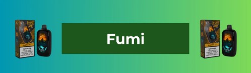 Fumi Vapes: Understanding Disposable Vape Technology